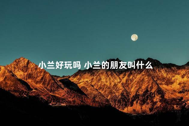 小兰好玩吗 小兰的朋友叫什么